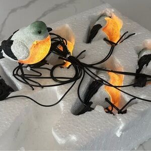 Set of 5 Indoor/Outdoor Bird String Light Set- Battery Operated